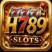 H789 Game Logo